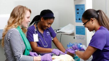 ACU nursing graduates outrank state and national NCLEX first-time test averages